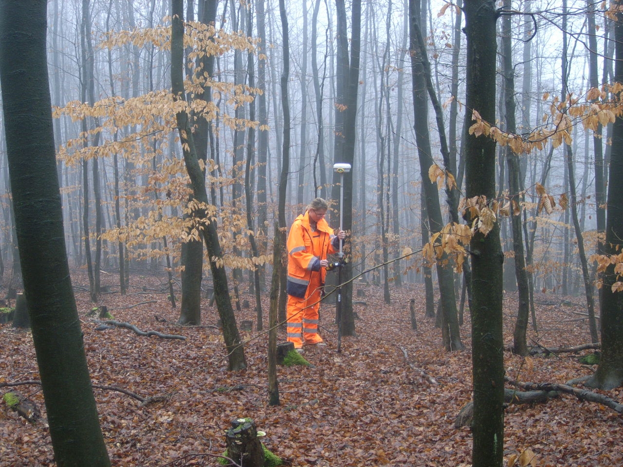 Fortbildungsangebot Arch Ologische Bodendenkm Ler Im Wald Lvr Amt