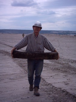 Bergung eines 5 Millionen Jahre alten fossilen Baumstamms im Tagebau Hambach. Foto: Ulrich Lieven