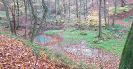 Der geflutete Hauptschacht des Bergwerks „Glückliche Elise“ (Bad Honnef). (Foto: Lars Düerkop)