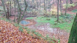 Der geflutete Hauptschacht des Bergwerks „Glückliche Elise“ (Bad Honnef). (Foto: Lars Düerkop)