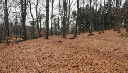 Zwei mit Laub bedeckte kleine Erdwälle im Herbstwald