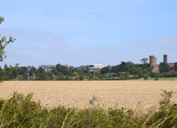 Feld mit reifem Getreide, dahinter die Siluette von Zülpich