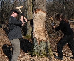 Ein Mann und eine Frau schlagen mit Äxten eine Kerbe in einen Baum