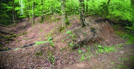 Wallreste des Römerlagers im Wald als Hügel erkennbar