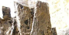 Mehrere Holzstücke nebeneinander