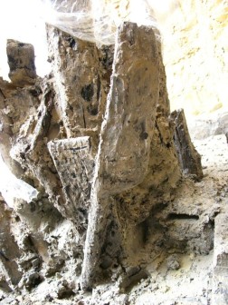 Mehrere Holzst&uuml;cke nebeneinander