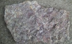 Steinplatte mit Fossilien aus dem Urfter Steinbruch (Foto: Felizius Poth)