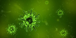 Grafische Darstellung von Coronaviren in grüner Färbung